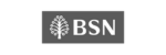 BSN